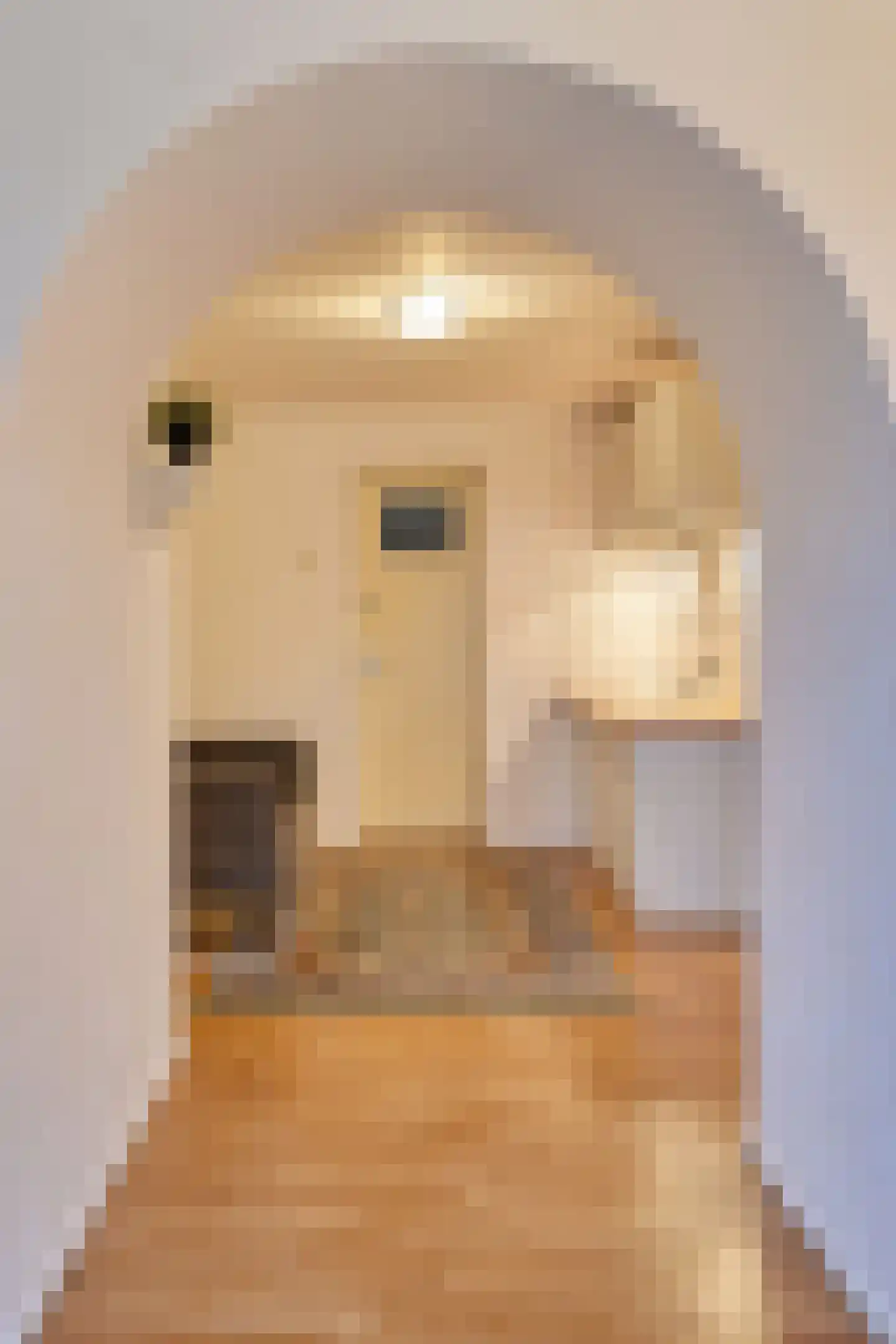 Hoeksehofstraat 6 Ressen thumbnail 39