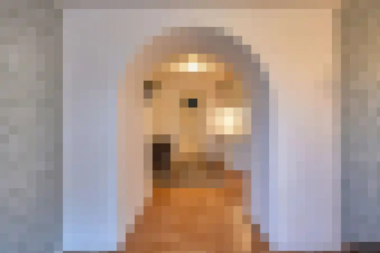 Hoeksehofstraat 6 Ressen thumbnail 40