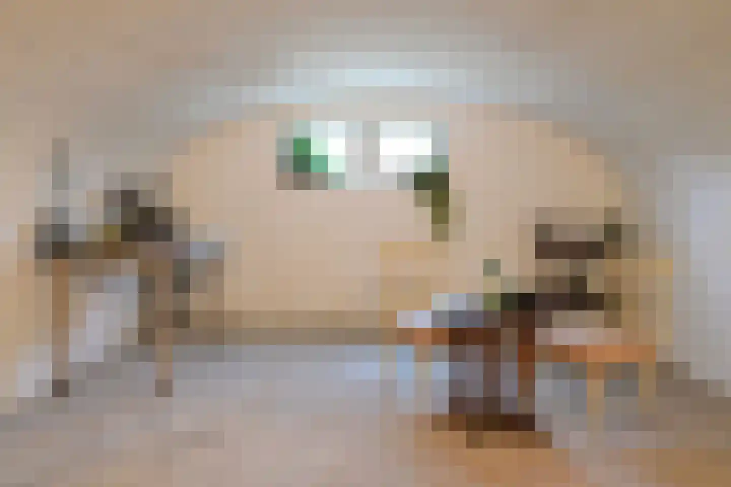 Hoeksehofstraat 6 Ressen thumbnail 44