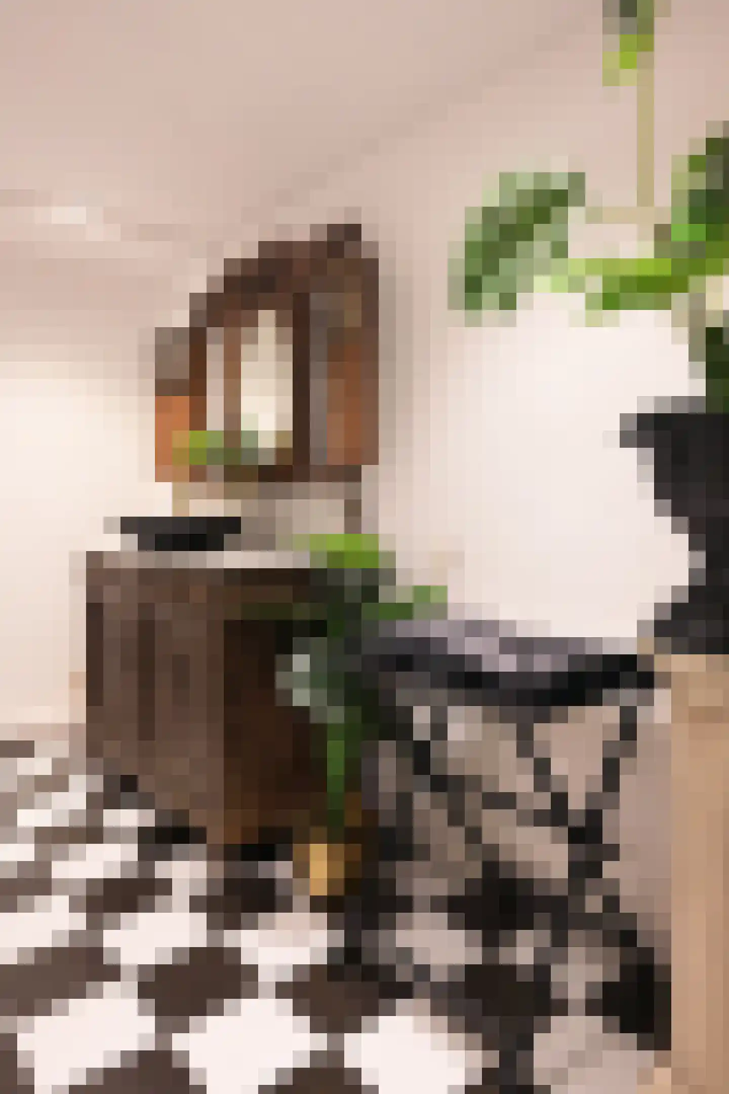 Hoeksehofstraat 6 Ressen thumbnail 45