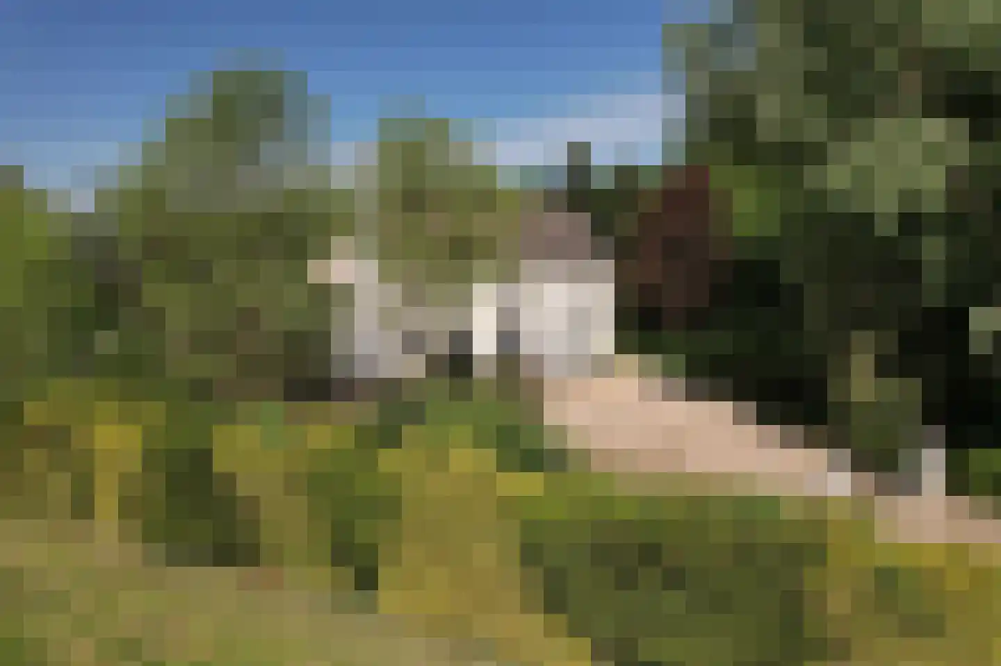 Hoeksehofstraat 6 Ressen thumbnail 58
