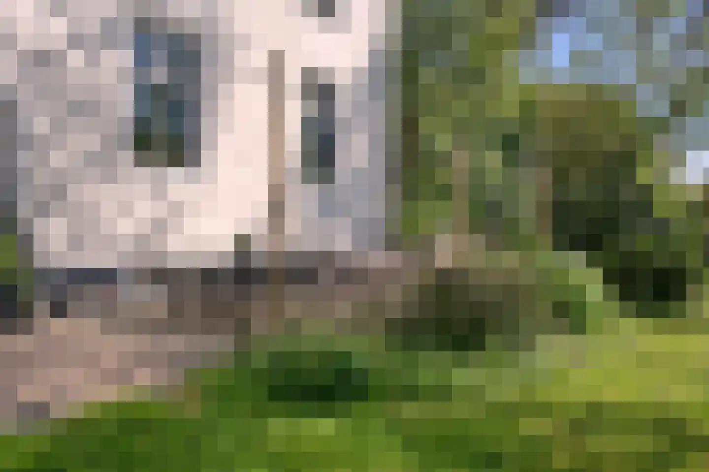 Hoeksehofstraat 6 Ressen thumbnail 62