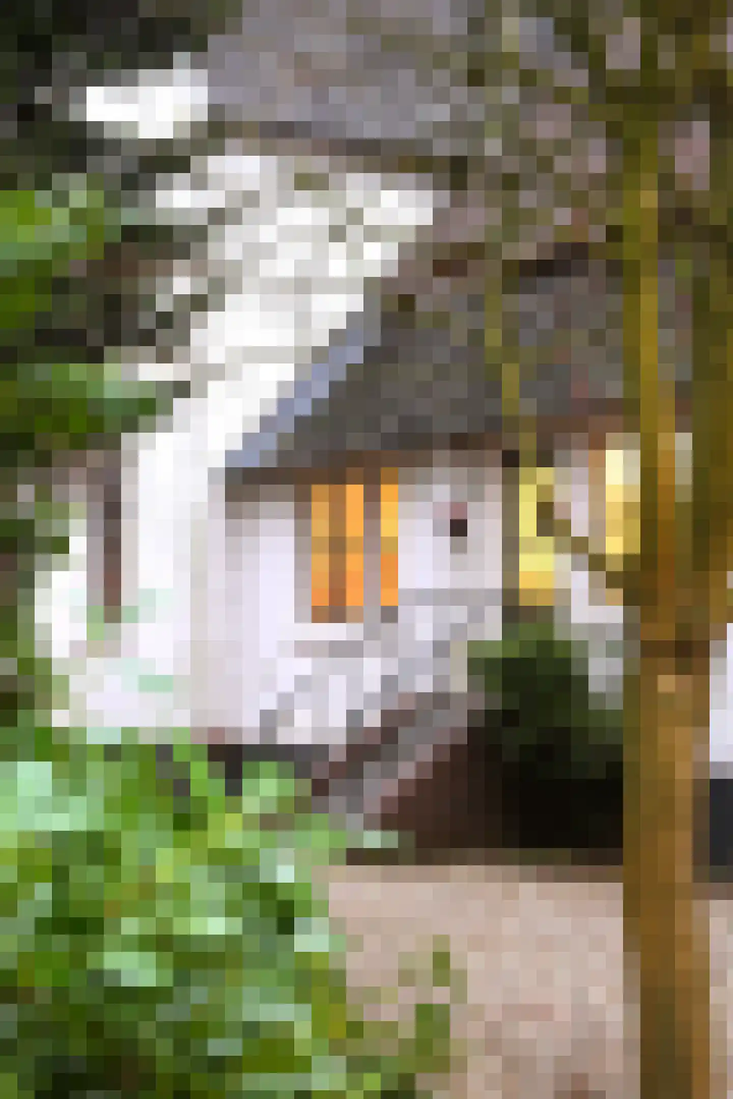 Hoeksehofstraat 6 Ressen thumbnail 65