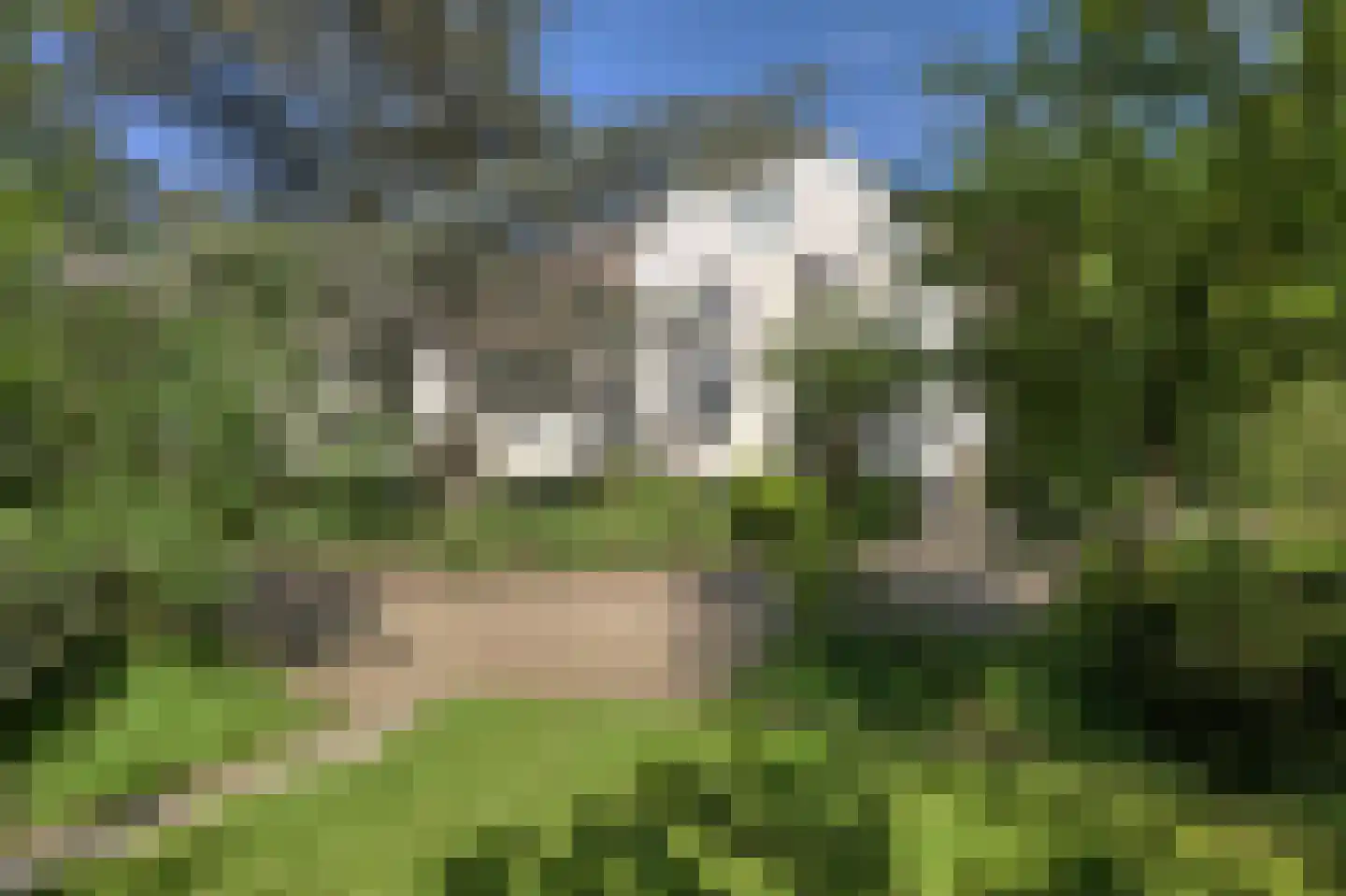 Hoeksehofstraat 6 Ressen thumbnail 66