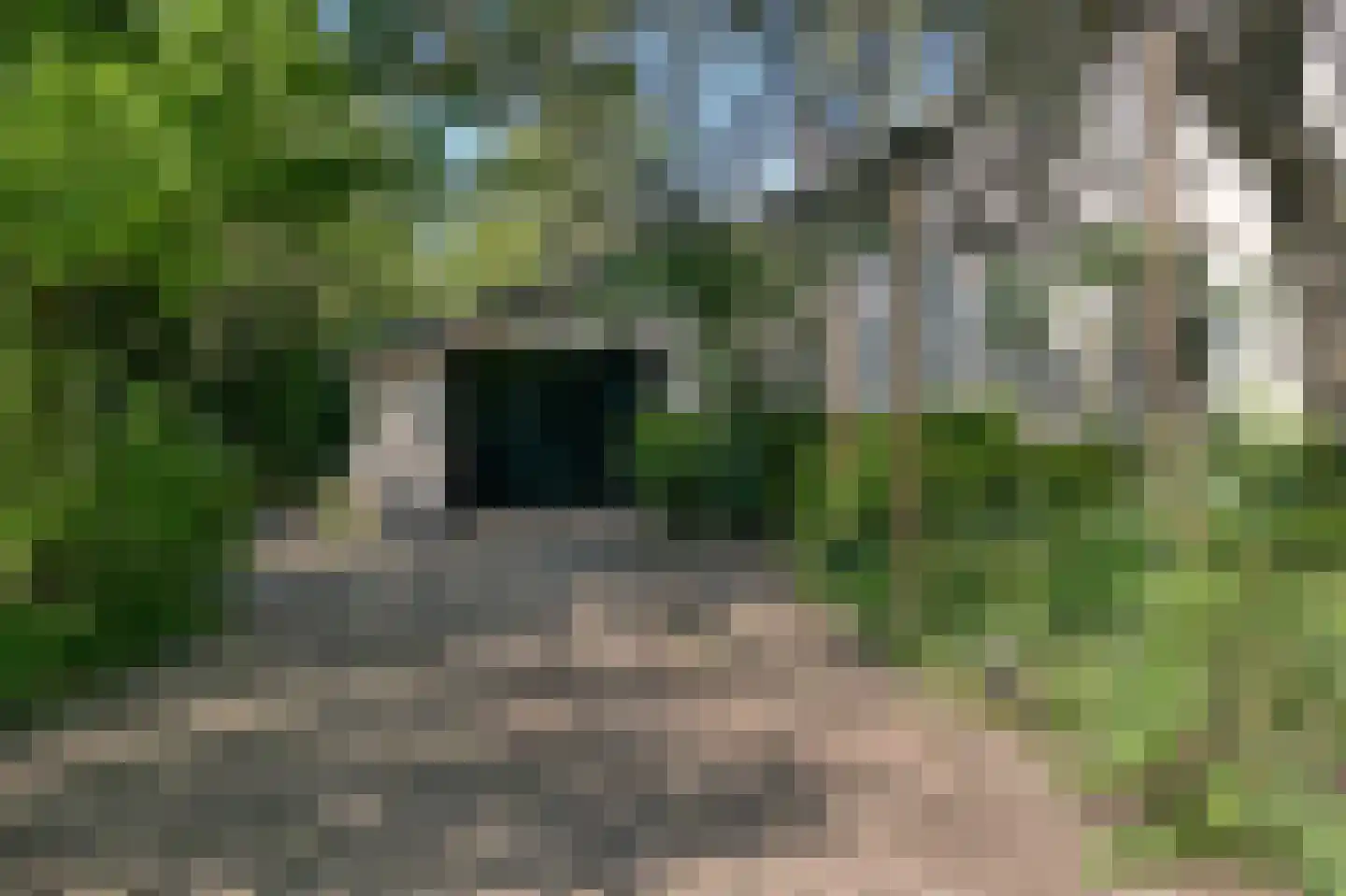 Hoeksehofstraat 6 Ressen thumbnail 67