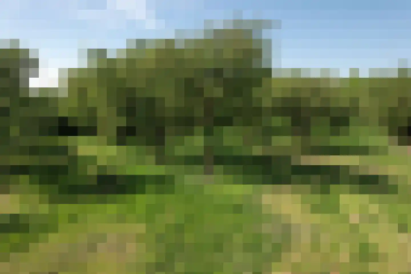 Hoeksehofstraat 6 Ressen thumbnail 69