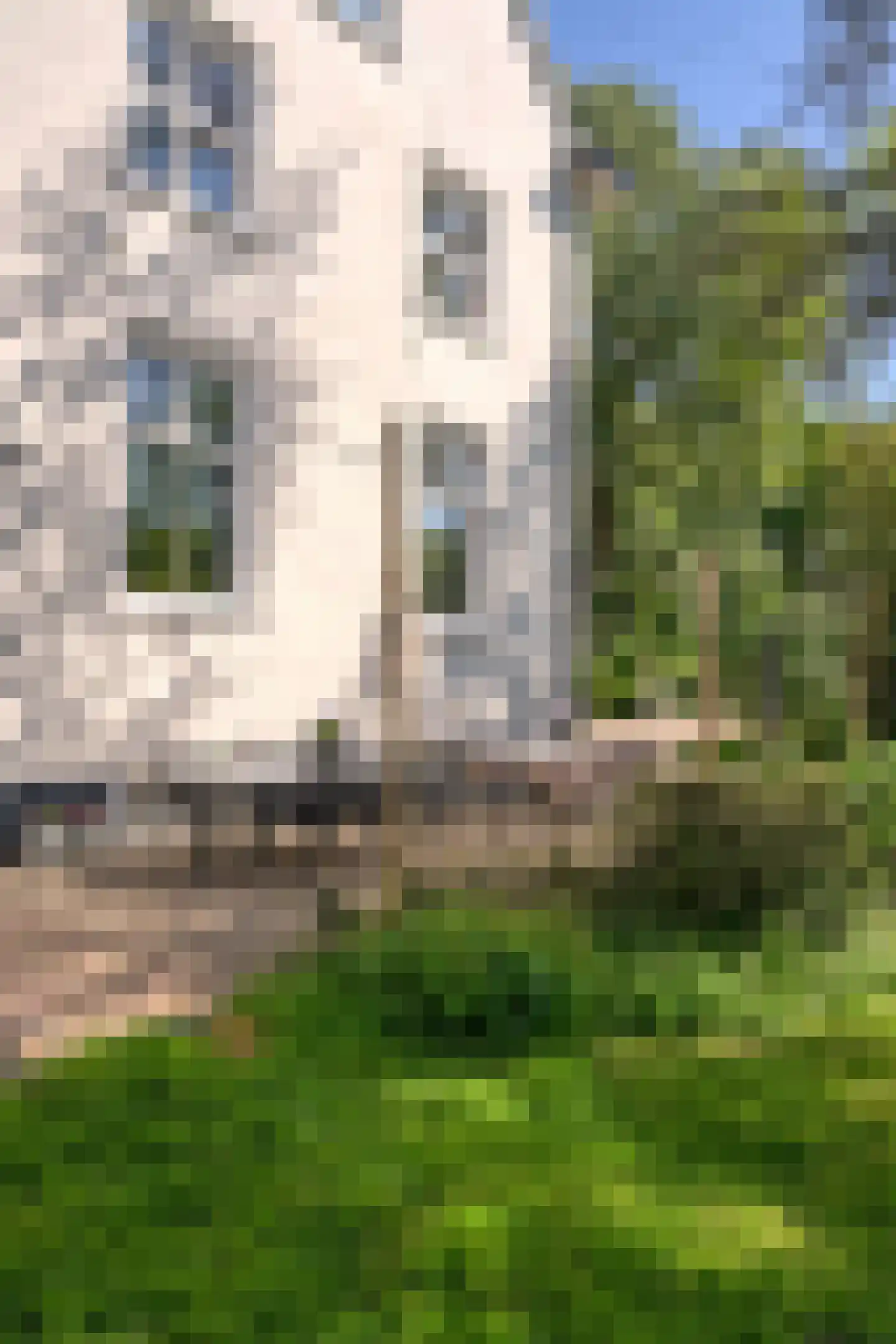Hoeksehofstraat 6 Ressen thumbnail 73