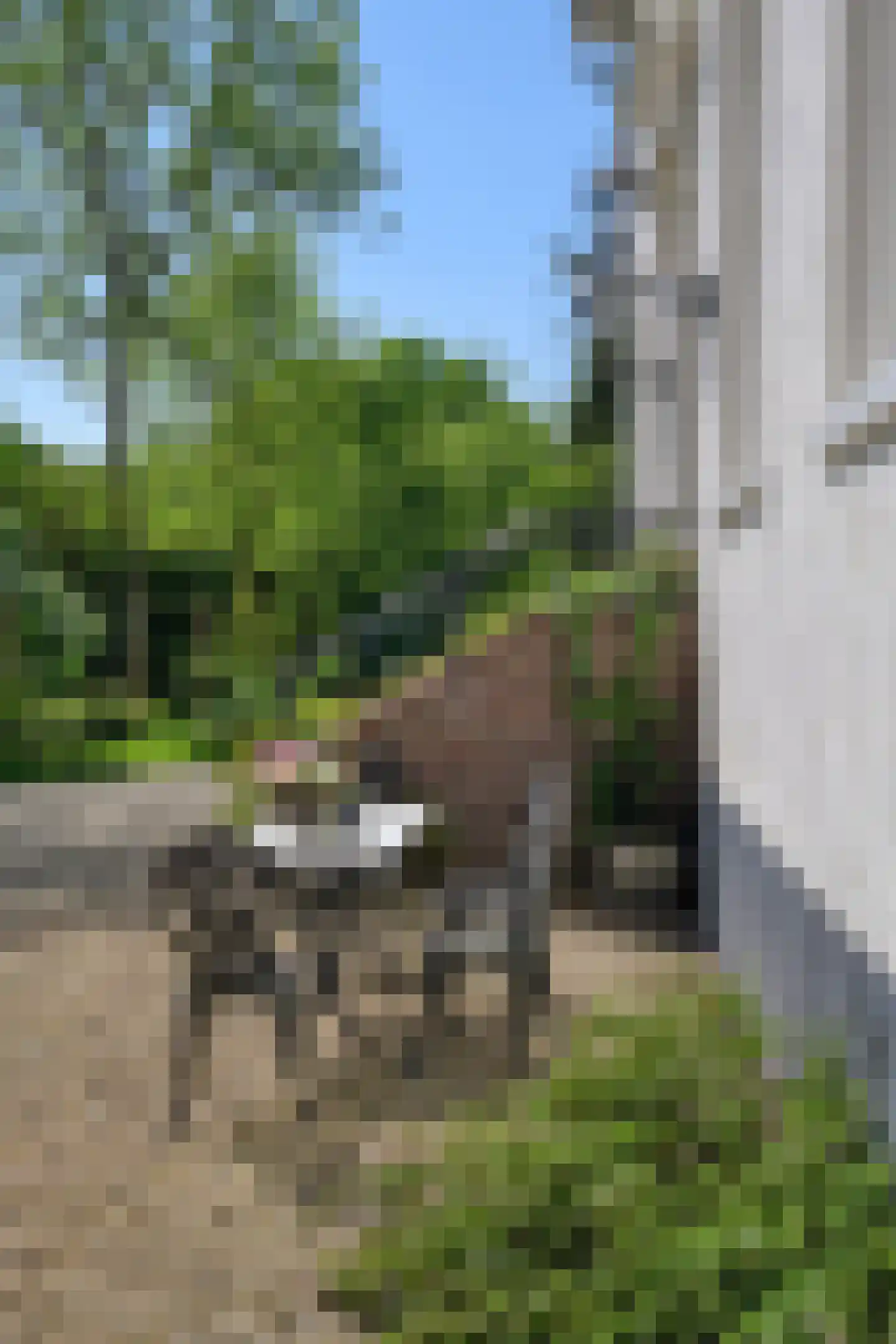 Hoeksehofstraat 6 Ressen thumbnail 74