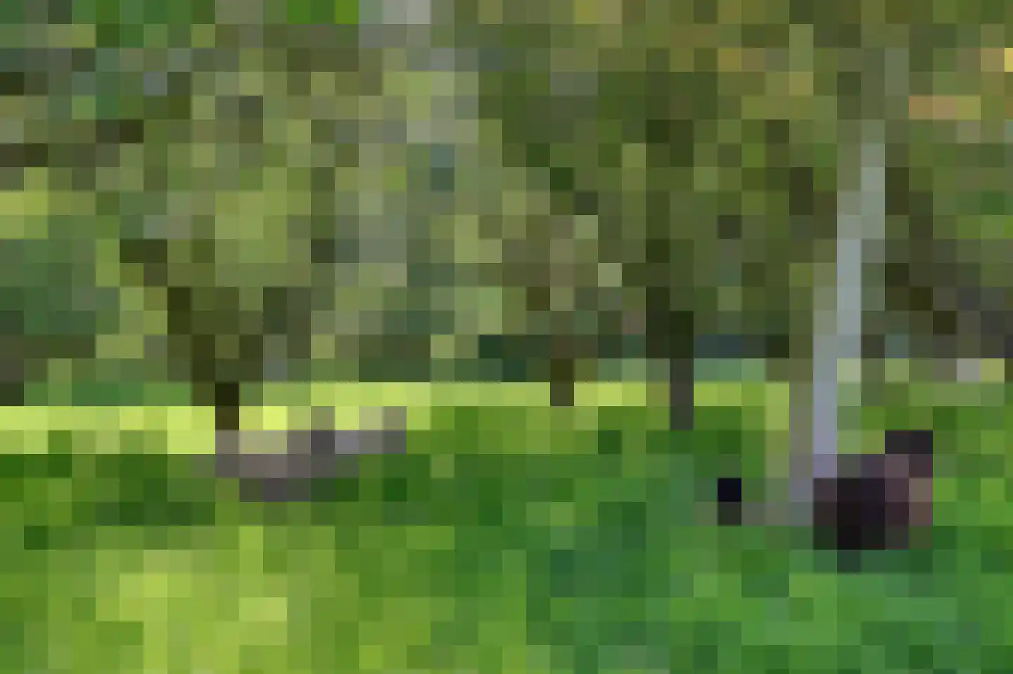 Hoeksehofstraat 6 Ressen thumbnail 75