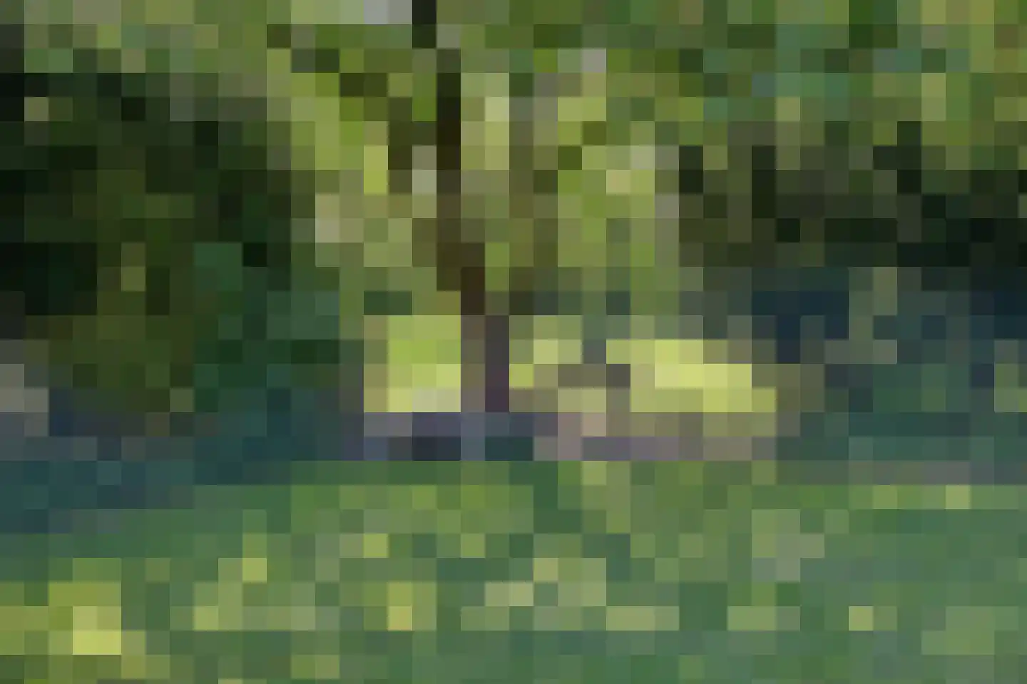 Hoeksehofstraat 6 Ressen thumbnail 77