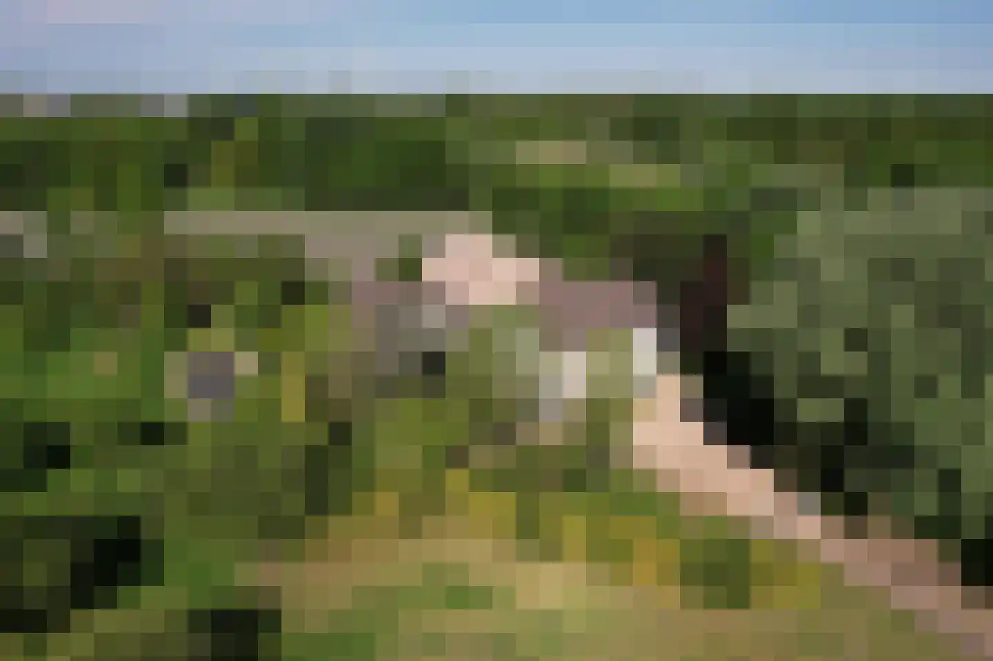 Hoeksehofstraat 6 Ressen thumbnail 79