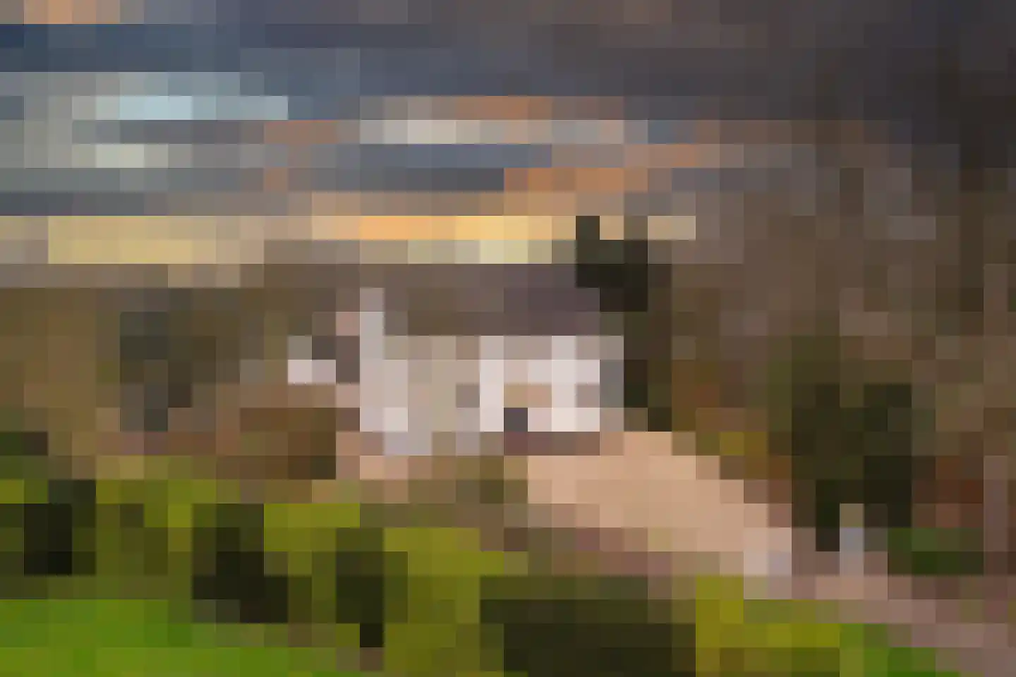 Hoeksehofstraat 6 Ressen thumbnail 81