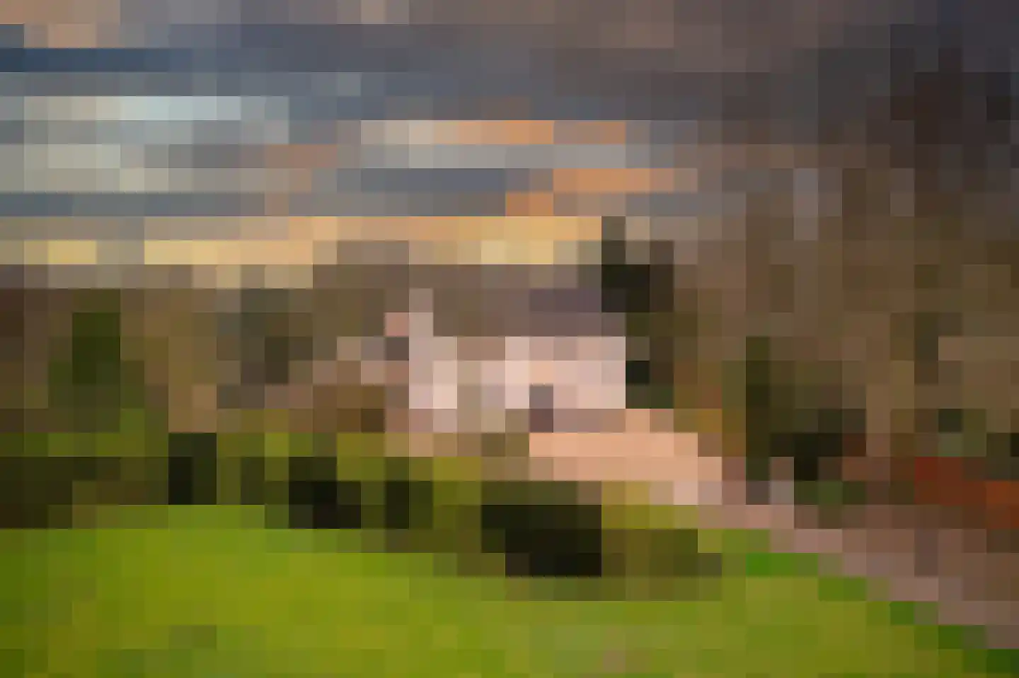 Hoeksehofstraat 6 Ressen thumbnail 82