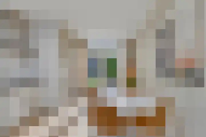 Hoeksekade 104 Bergschenhoek thumbnail 11