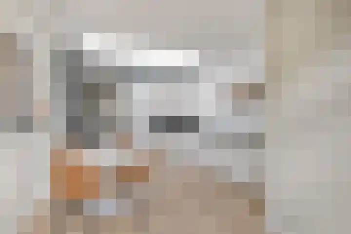 Hoeksekade 104 Bergschenhoek thumbnail 13