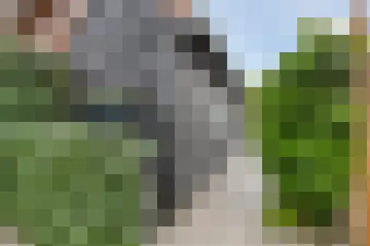Hoeksekade 104 Bergschenhoek thumbnail 18