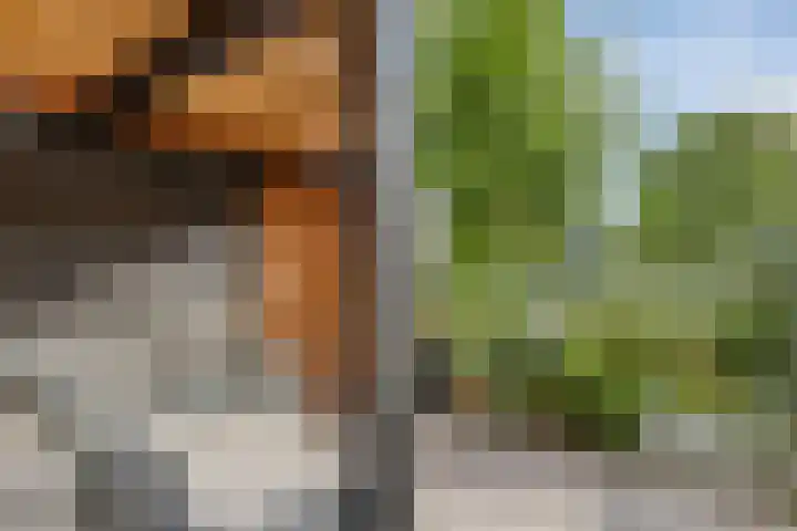Hoeksekade 104 Bergschenhoek thumbnail 20