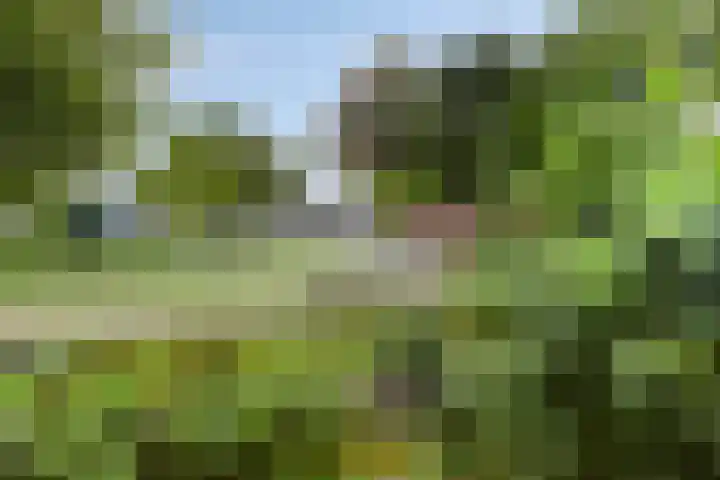 Hoeksekade 104 Bergschenhoek thumbnail 21