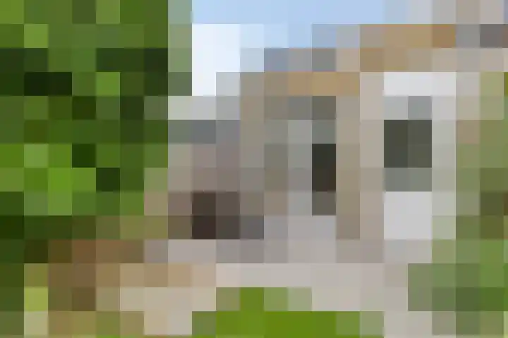 Hoeksekade 104 Bergschenhoek thumbnail 24