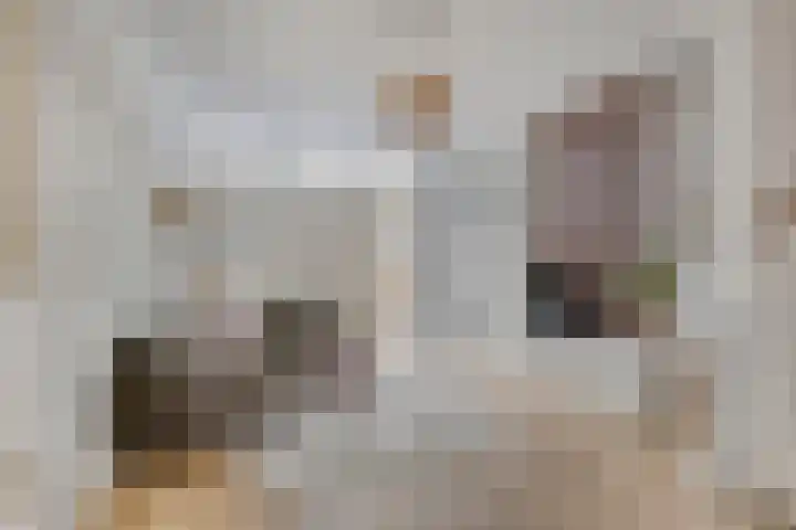 Hoeksekade 104 Bergschenhoek thumbnail 8