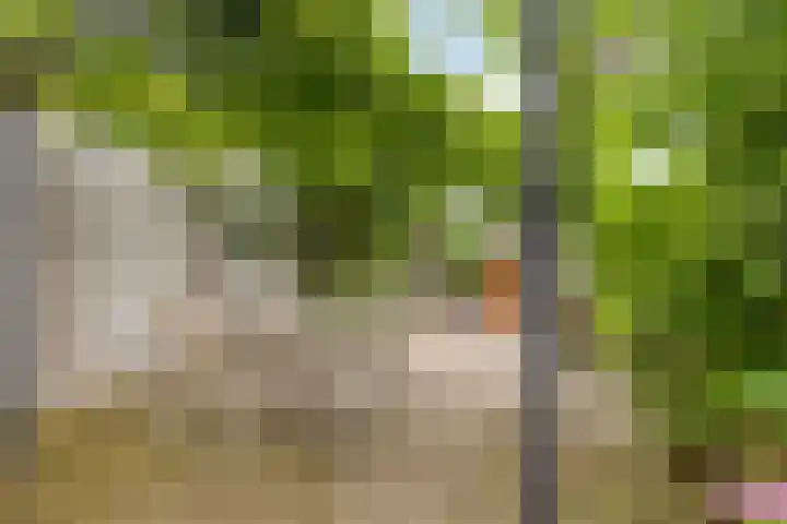 Hoeksekade 120 Bergschenhoek thumbnail 14
