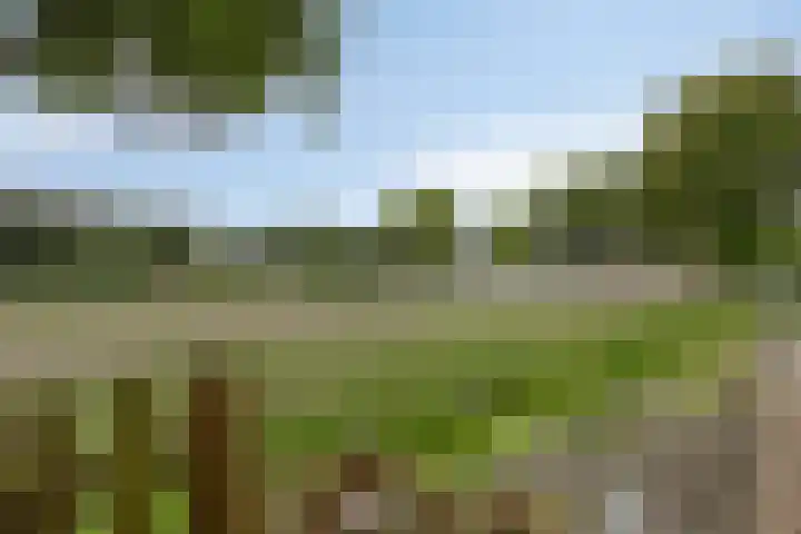 Hoeksekade 120 Bergschenhoek thumbnail 16