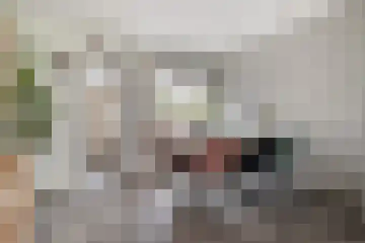 Hoeksekade 120 Bergschenhoek thumbnail 6