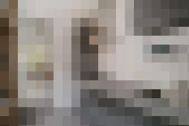 Hoeksekade 120 Bergschenhoek thumbnail 8