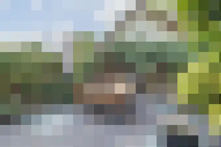 Hoeksekade 122 Bergschenhoek thumbnail 36