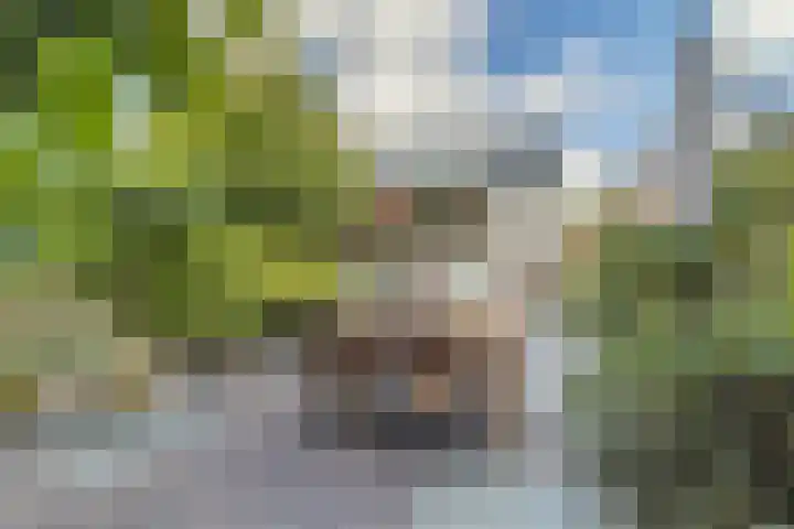 Hoeksekade 122 Bergschenhoek thumbnail 37