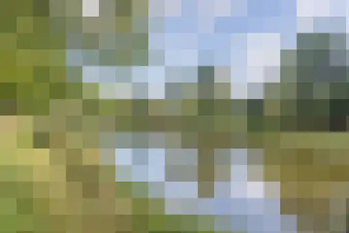 Hoeksekade 122 Bergschenhoek thumbnail 48