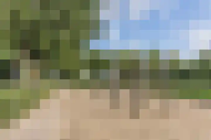 Hoeksekade 122 Bergschenhoek thumbnail 49