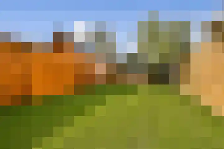 Hoeksekade 124 Bergschenhoek thumbnail 10