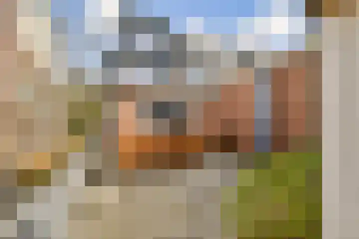 Hoeksekade 124 Bergschenhoek thumbnail 11