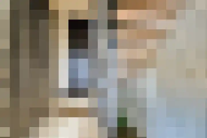 Hoeksekade 124 Bergschenhoek thumbnail 12