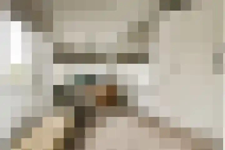 Hoeksekade 124 Bergschenhoek thumbnail 13