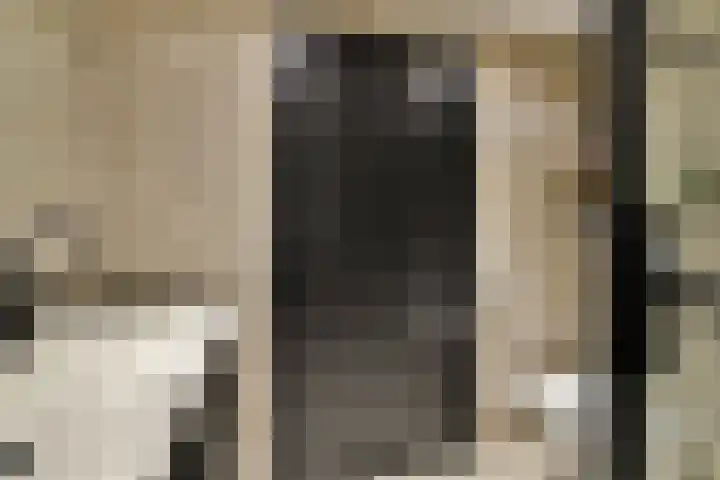 Hoeksekade 124 Bergschenhoek thumbnail 17