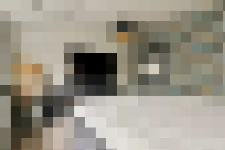 Hoeksekade 124 Bergschenhoek thumbnail 19