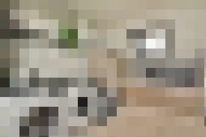 Hoeksekade 124 Bergschenhoek thumbnail 20