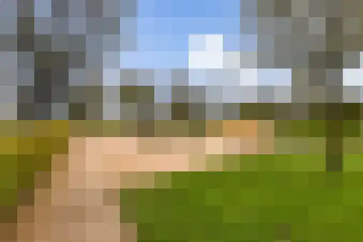 Hoeksekade 124 Bergschenhoek thumbnail 24