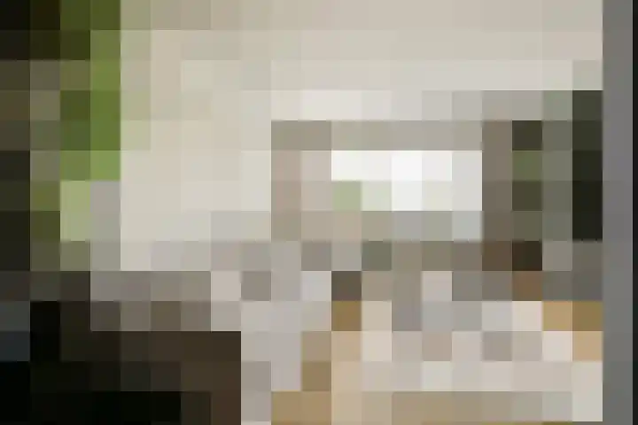 Hoeksekade 124 Bergschenhoek thumbnail 6