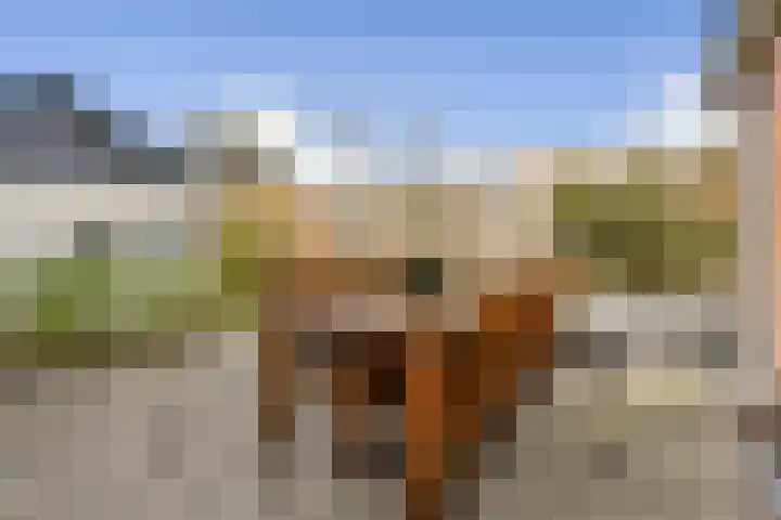 Hoeksekade 124 Bergschenhoek thumbnail 9