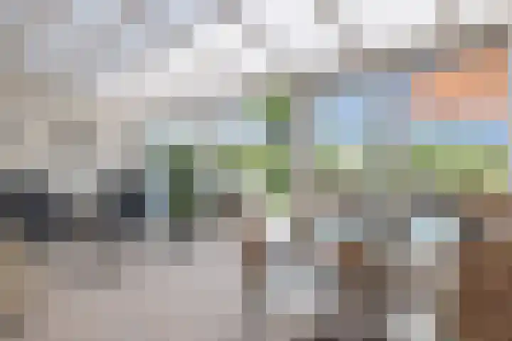 Hoeksekade 37 Bergschenhoek thumbnail 19