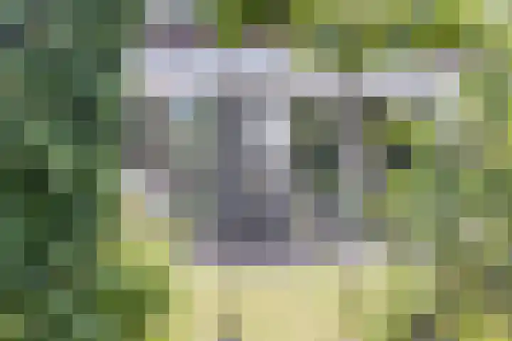 Hoeksekade 37 Bergschenhoek thumbnail 22