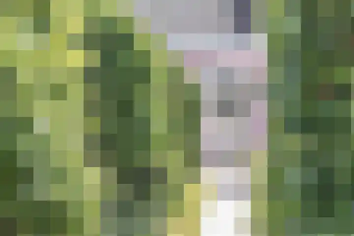 Hoeksekade 37 Bergschenhoek thumbnail 23
