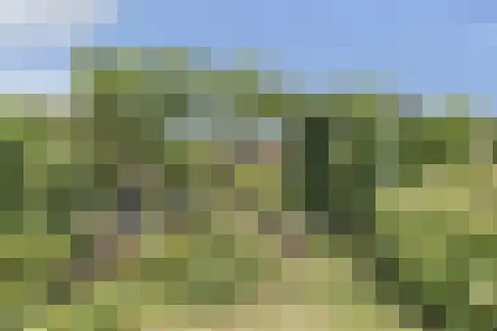 Hoeksekade 37 Bergschenhoek thumbnail 25