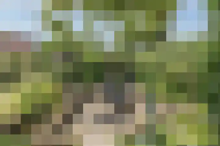 Hoeksekade 37 Bergschenhoek thumbnail 26