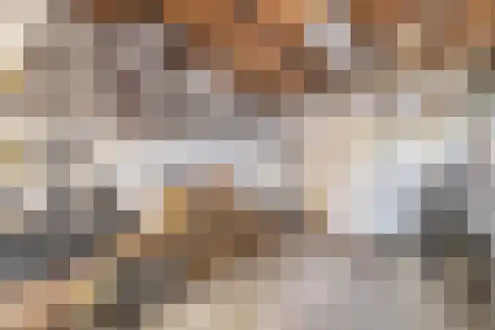 Hoeksekade 37 Bergschenhoek thumbnail 29