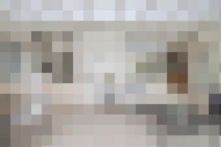 Hoeksekade 37 Bergschenhoek thumbnail 30