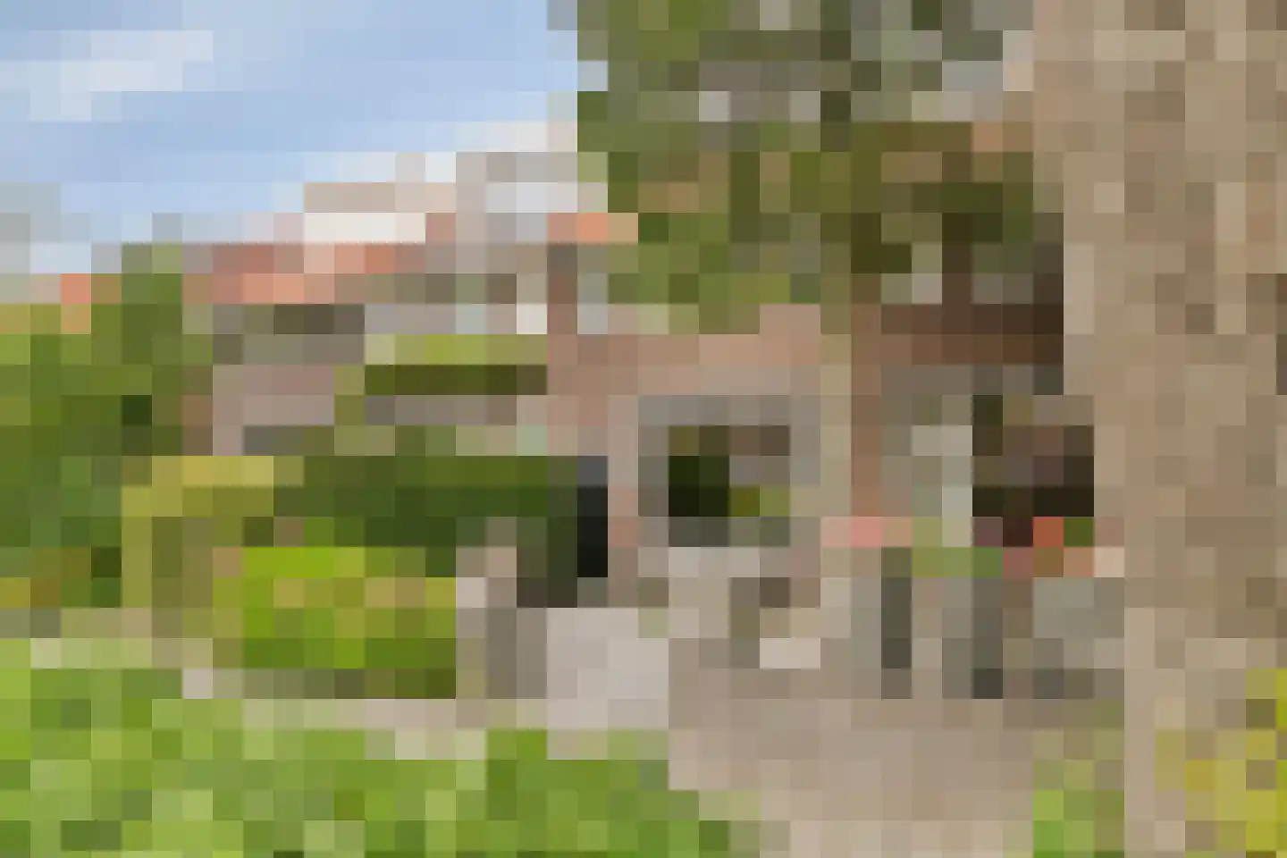 Hoeksekade 55 en Bergschenhoek